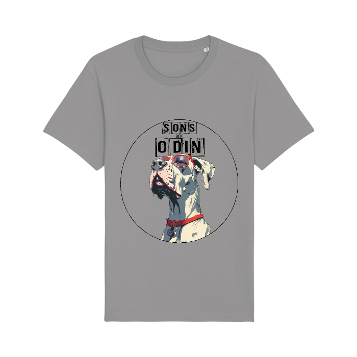 T-Shirt Uomo Son's of Odin